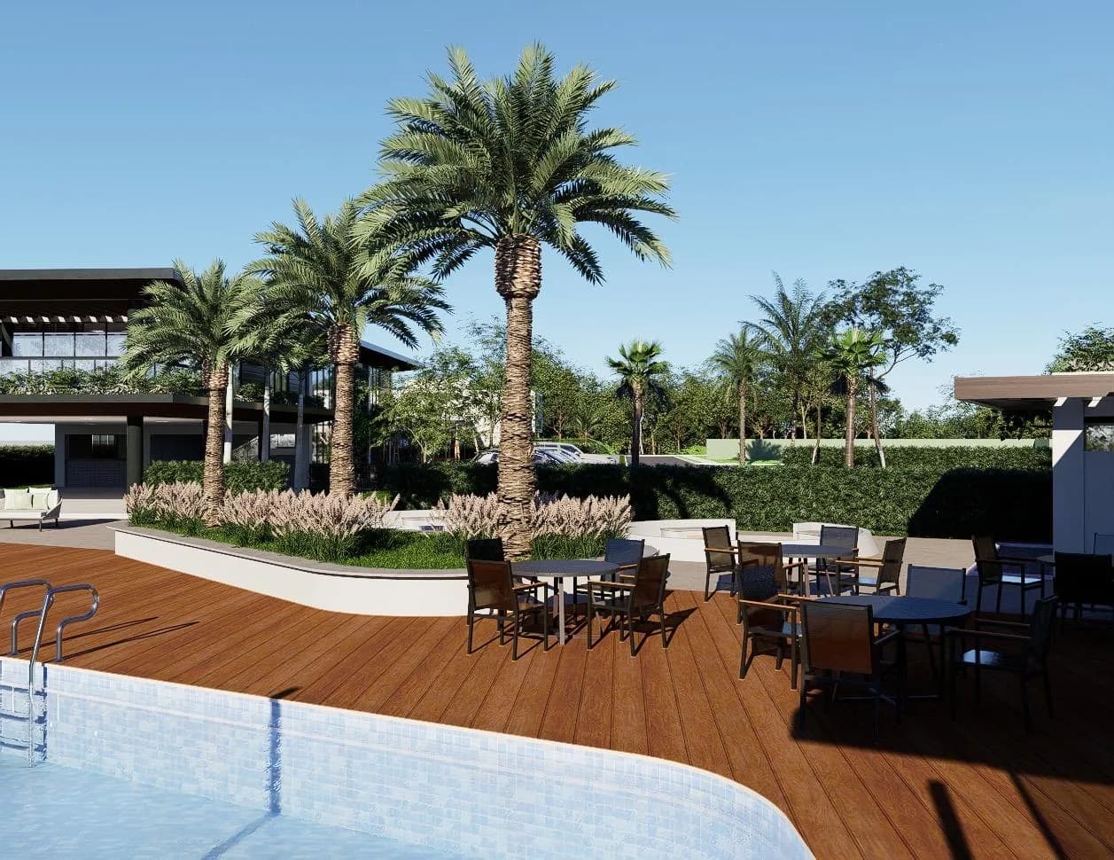 Deck da piscina com palmeiras imperiais